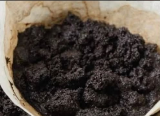 KAD čujete čemu služi talog od kafe, čuvat ćete ga kao zlato: 2 su jaka razloga! KAD čujete čemu služi talog od kafe, čuvat ćete ga kao zlato: 2 su jaka razloga!