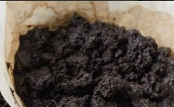 KAD čujete čemu služi talog od kafe, čuvat ćete ga kao zlato: 2 su jaka razloga! KAD čujete čemu služi talog od kafe, čuvat ćete ga kao zlato: 2 su jaka razloga!