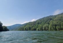 Kad je patrijarh Pavle video dečaka koji se davi u Drini, skočio je da mu pomogne, pa se teško razboleo: Otišao u manastir da tamo skonča, a onda se desilo čudo Kad je patrijarh Pavle video dečaka koji se davi u Drini, skočio je da mu pomogne, pa se teško razboleo: Otišao u manastir da tamo skonča, a onda se desilo čudo