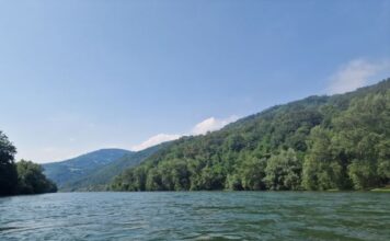 Kad je patrijarh Pavle video dečaka koji se davi u Drini, skočio je da mu pomogne, pa se teško razboleo: Otišao u manastir da tamo skonča, a onda se desilo čudo Kad je patrijarh Pavle video dečaka koji se davi u Drini, skočio je da mu pomogne, pa se teško razboleo: Otišao u manastir da tamo skonča, a onda se desilo čudo