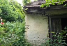 Kad je svekrva čula da renoviramo moju nasleđenu kuću odjednom je sve u njenoj počelo da se kvari: Sad umesto da ulažemo u naš krov nad glavom mi krpimo njen Kad je svekrva čula da renoviramo moju nasleđenu kuću odjednom je sve u njenoj počelo da se kvari: Sad umesto da ulažemo u naš krov nad glavom mi krpimo njen