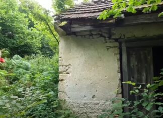 Kad je svekrva čula da renoviramo moju nasleđenu kuću odjednom je sve u njenoj počelo da se kvari: Sad umesto da ulažemo u naš krov nad glavom mi krpimo njen Kad je svekrva čula da renoviramo moju nasleđenu kuću odjednom je sve u njenoj počelo da se kvari: Sad umesto da ulažemo u naš krov nad glavom mi krpimo njen