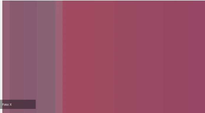 Koliko boja vidite? Naučna iluzija otkriva koliko vam je oštar vid Koliko boja vidite? Naučna iluzija otkriva koliko vam je oštar vid