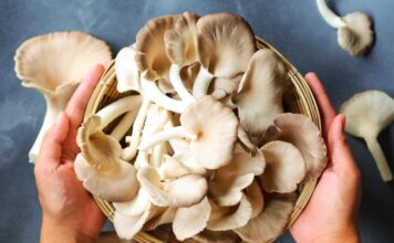 Koliko dugo pečurke mogu da stoje u frižideru, a kada je rizično da ih koristite? Koliko dugo pečurke mogu da stoje u frižideru, a kada je rizično da ih koristite?