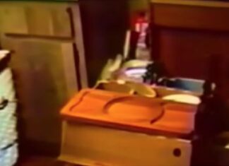 Majka se zamalo uspavala za smenu, otrčala na sprat u ćerkinu sobu, kada se kroz kuću prolomio jezivi vrisak: DNK trag nakon 26 godina otkrio istinu Majka se zamalo uspavala za smenu, otrčala na sprat u ćerkinu sobu, kada se kroz kuću prolomio jezivi vrisak: DNK trag nakon 26 godina otkrio istinu