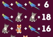 Matematička mozgalica: Možete li otkriti koji se brojevi kriju iza životinja za manje od 15 sekundi? Matematička mozgalica: Možete li otkriti koji se brojevi kriju iza životinja za manje od 15 sekundi?