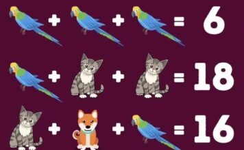 Matematička mozgalica: Možete li otkriti koji se brojevi kriju iza životinja za manje od 15 sekundi? Matematička mozgalica: Možete li otkriti koji se brojevi kriju iza životinja za manje od 15 sekundi?