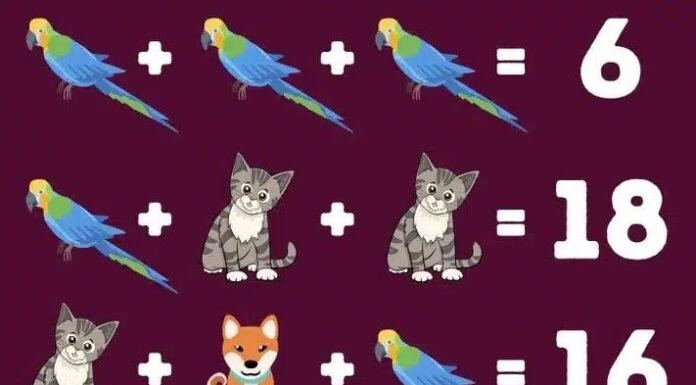 Matematička mozgalica: Možete li otkriti koji se brojevi kriju iza životinja za manje od 15 sekundi? Matematička mozgalica: Možete li otkriti koji se brojevi kriju iza životinja za manje od 15 sekundi?