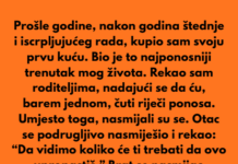 Moji roditelji su mi govorili da sam previše lijen da bih ikada imao vlastitu kuću — a sada žele živjeti u mojoj. Moji roditelji su mi govorili da sam previše lijen da bih ikada imao vlastitu kuću — a sada žele živjeti u mojoj.
