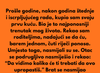 Moji roditelji su mi govorili da sam previše lijen da bih ikada imao vlastitu kuću — a sada žele živjeti u mojoj. Moji roditelji su mi govorili da sam previše lijen da bih ikada imao vlastitu kuću — a sada žele živjeti u mojoj.