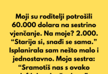 Moji su roditelji moju sestru tretirali kao princezu, a mene kao ništa — velika pogreška. Moji su roditelji moju sestru tretirali kao princezu, a mene kao ništa — velika pogreška.