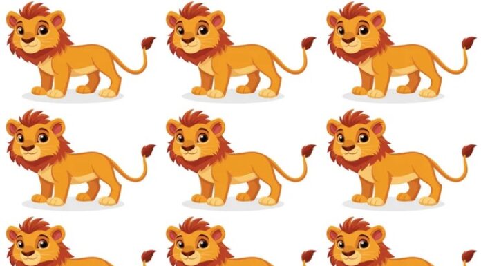 Mozgalica koja je zaludela svet: Imate samo 25 sekundi da pronađete drugačijeg lava! Mozgalica koja je zaludela svet: Imate samo 25 sekundi da pronađete drugačijeg lava!