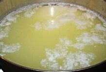 Najbolji prirodni probiotik: Čisti jetru, creva, pluća i topi višak kilograma Najbolji prirodni probiotik: Čisti jetru, creva, pluća i topi višak kilograma