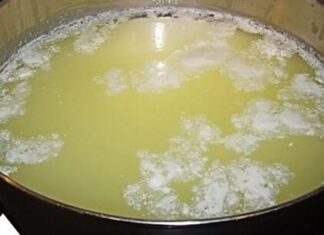 Najbolji prirodni probiotik: Čisti jetru, creva, pluća i topi višak kilograma Najbolji prirodni probiotik: Čisti jetru, creva, pluća i topi višak kilograma