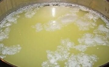 Najbolji prirodni probiotik: Čisti jetru, creva, pluća i topi višak kilograma Najbolji prirodni probiotik: Čisti jetru, creva, pluća i topi višak kilograma