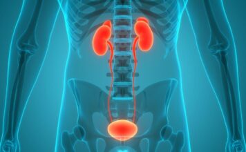 Najčešći simptom raka bešike za koji mnogi misle da je upala: Zbog toga ostaje neotkriven, a situacija postaje opasna Najčešći simptom raka bešike za koji mnogi misle da je upala: Zbog toga ostaje neotkriven, a situacija postaje opasna