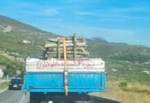 Natpis na kamionu iz Šibenika nasmijao je vozače, zbog ovog se ne mogu naljutiti kad napravi kolonu Natpis na kamionu iz Šibenika nasmijao je vozače, zbog ovog se ne mogu naljutiti kad napravi kolonu