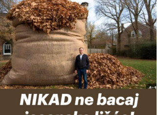 NIKAD ne bacaj jesensko lišće! EVO ZAŠTO NIKAD ne bacaj jesensko lišće! EVO ZAŠTO