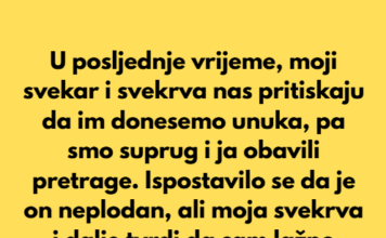 Odbila sam biti kriva što svojoj svekrvi nisam dala unuka, ali ona je skrivala nešto veliko. Odbila sam biti kriva što svojoj svekrvi nisam dala unuka, ali ona je skrivala nešto veliko.