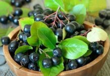 OVA BILJKA ima najjače antikancerogeno dejstvo: Šaka dnevno i bićete zdravi kao dren! OVA BILJKA ima najjače antikancerogeno dejstvo: Šaka dnevno i bićete zdravi kao dren!