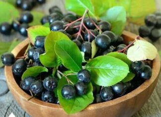 OVA BILJKA ima najjače antikancerogeno dejstvo: Šaka dnevno i bićete zdravi kao dren! OVA BILJKA ima najjače antikancerogeno dejstvo: Šaka dnevno i bićete zdravi kao dren!