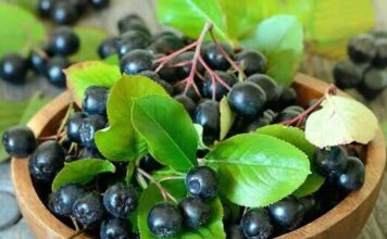 OVA BILJKA ima najjače antikancerogeno dejstvo: Šaka dnevno i bićete zdravi kao dren! OVA BILJKA ima najjače antikancerogeno dejstvo: Šaka dnevno i bićete zdravi kao dren!