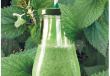 Ovaj napitak od koprive popravlja krvnu sliku, čisti pluća, jetru i žuč – Evo kako da ga napravite! Ovaj napitak od koprive popravlja krvnu sliku, čisti pluća, jetru i žuč – Evo kako da ga napravite!