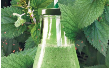 Ovaj napitak od koprive popravlja krvnu sliku, čisti pluća, jetru i žuč – Evo kako da ga napravite! Ovaj napitak od koprive popravlja krvnu sliku, čisti pluća, jetru i žuč – Evo kako da ga napravite!