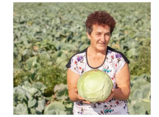 Ovako Slobodanka iz Futoga kiseli kupus: “Ljudi najčešće greše sa količinom soli” Ovako Slobodanka iz Futoga kiseli kupus: “Ljudi najčešće greše sa količinom soli”