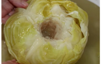 Ove sorte kupusa nikako ne birajte za kiseljenje: Brzo se raspadnu i usmrde čim ih stavite u bure Ove sorte kupusa nikako ne birajte za kiseljenje: Brzo se raspadnu i usmrde čim ih stavite u bure