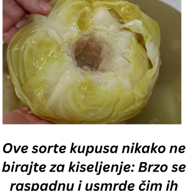 Ove sorte kupusa nikako ne birajte za kiseljenje: Brzo se raspadnu i usmrde čim ih stavite u bure Ove sorte kupusa nikako ne birajte za kiseljenje: Brzo se raspadnu i usmrde čim ih stavite u bure