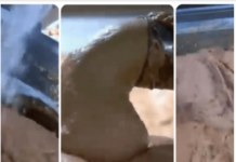 OVO JE NAJOPASNIJA NAMIRNICA, A STALNO JEDEMO: Stalno je na SNIŽENJU, a niko vam neće reći da može biti OTROVNA! OVO JE NAJOPASNIJA NAMIRNICA, A STALNO JEDEMO: Stalno je na SNIŽENJU, a niko vam neće reći da može biti OTROVNA!