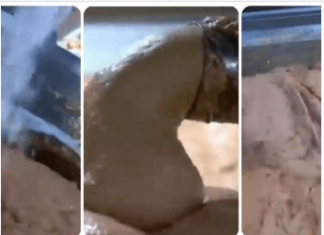 OVO JE NAJOPASNIJA NAMIRNICA, A STALNO JEDEMO: Stalno je na SNIŽENJU, a niko vam neće reći da može biti OTROVNA! OVO JE NAJOPASNIJA NAMIRNICA, A STALNO JEDEMO: Stalno je na SNIŽENJU, a niko vam neće reći da može biti OTROVNA!