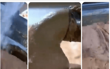 OVO JE NAJOPASNIJA NAMIRNICA, A STALNO JEDEMO: Stalno je na SNIŽENJU, a niko vam neće reći da može biti OTROVNA! OVO JE NAJOPASNIJA NAMIRNICA, A STALNO JEDEMO: Stalno je na SNIŽENJU, a niko vam neće reći da može biti OTROVNA!