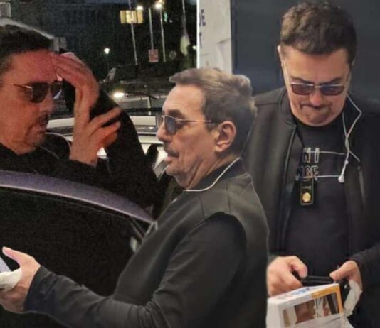 PEH ZA PEHOM Kebu ujeo pas, a onda se zakucao glavom u auto PEH ZA PEHOM Kebu ujeo pas, a onda se zakucao glavom u auto