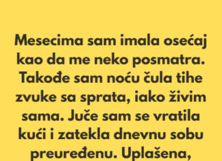 „Poslednjih nekoliko meseci imala sam osećaj kao da me neko posmatra.” „Poslednjih nekoliko meseci imala sam osećaj kao da me neko posmatra.”