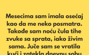 „Poslednjih nekoliko meseci imala sam osećaj kao da me neko posmatra.” „Poslednjih nekoliko meseci imala sam osećaj kao da me neko posmatra.”