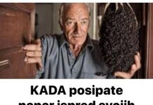 Pospite papar ispred svojih vrata, EVO ZAŠTO biti ćete mi zauvijek zahvalni! Pospite papar ispred svojih vrata, EVO ZAŠTO biti ćete mi zauvijek zahvalni!