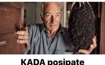 Pospite papar ispred svojih vrata, EVO ZAŠTO biti ćete mi zauvijek zahvalni! Pospite papar ispred svojih vrata, EVO ZAŠTO biti ćete mi zauvijek zahvalni!