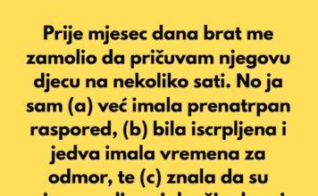 Prije mjesec dana brat me zamolio da pričuvam njegovu djecu na nekoliko sati… Prije mjesec dana brat me zamolio da pričuvam njegovu djecu na nekoliko sati…