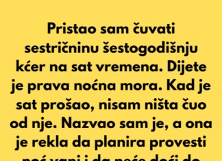 Pristao sam čuvati sestričninu šestogodišnju kćer na sat vremena, ali dijete je bilo prava noćna mora. Pristao sam čuvati sestričninu šestogodišnju kćer na sat vremena, ali dijete je bilo prava noćna mora.