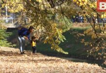 Rasplet drame sa Severininim sinom: Učiteljica ‘proživjela pakao’, pjevačici mora platiti 1750 eura Rasplet drame sa Severininim sinom: Učiteljica ‘proživjela pakao’, pjevačici mora platiti 1750 eura