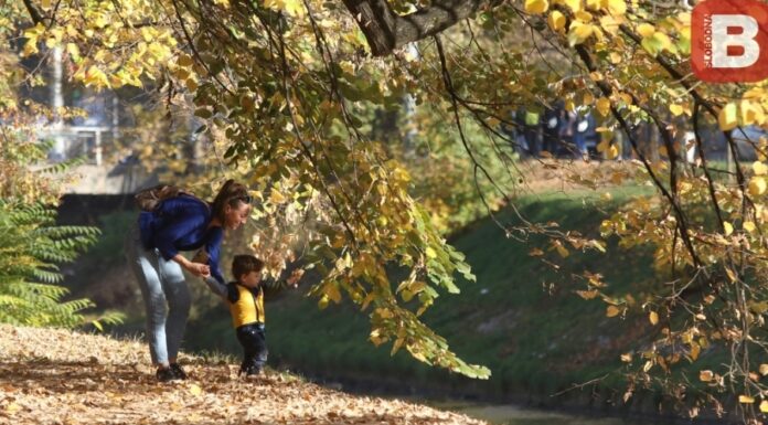 Rasplet drame sa Severininim sinom: Učiteljica ‘proživjela pakao’, pjevačici mora platiti 1750 eura Rasplet drame sa Severininim sinom: Učiteljica ‘proživjela pakao’, pjevačici mora platiti 1750 eura