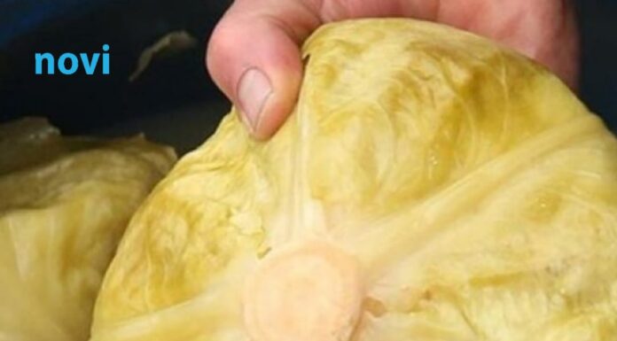 Samo ovako vam se kiseli kupus neće pokvariti! Tri stvari su ključne, a biće i ukusniji Samo ovako vam se kiseli kupus neće pokvariti! Tri stvari su ključne, a biće i ukusniji