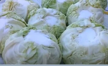 SLOBODANKA IMA TRIK ZA ODLIČAN KISELI KUPUS! Većina domaćica radi ovo pogrešno kod kiseljenja – PAZITE SAMO OVO SLOBODANKA IMA TRIK ZA ODLIČAN KISELI KUPUS! Većina domaćica radi ovo pogrešno kod kiseljenja – PAZITE SAMO OVO