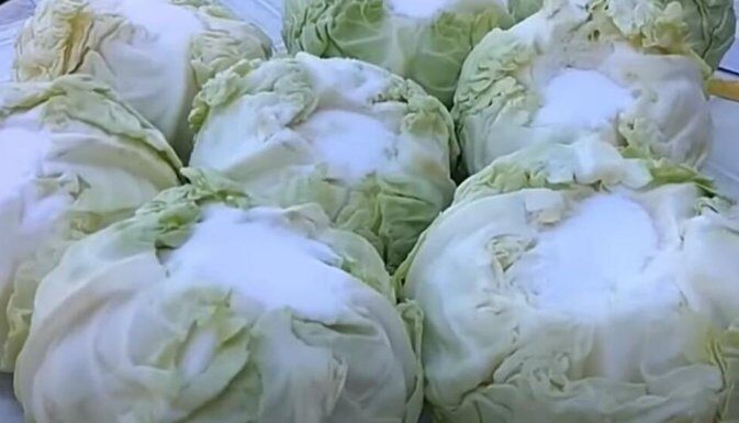 SLOBODANKA IMA TRIK ZA ODLIČAN KISELI KUPUS! Većina domaćica radi ovo pogrešno kod kiseljenja – PAZITE SAMO OVO SLOBODANKA IMA TRIK ZA ODLIČAN KISELI KUPUS! Većina domaćica radi ovo pogrešno kod kiseljenja – PAZITE SAMO OVO