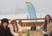 Šta od škole imaju sestre Bogdane Ražnatović? Sve su obrazovane, jedna prodaje burgere, druga sa sporta prešla na biznis Šta od škole imaju sestre Bogdane Ražnatović? Sve su obrazovane, jedna prodaje burgere, druga sa sporta prešla na biznis