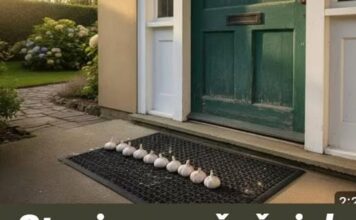 Stavio sam češnjak ispred ulaza i ovo se dogodilo preko noći! Stavio sam češnjak ispred ulaza i ovo se dogodilo preko noći!