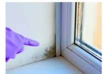 Stručnjak otkrio trik: Evo kako da vaši prozori ove zime ostanu suhi, bez vlage i plijesni Stručnjak otkrio trik: Evo kako da vaši prozori ove zime ostanu suhi, bez vlage i plijesni