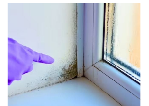 Stručnjak otkrio trik: Evo kako da vaši prozori ove zime ostanu suhi, bez vlage i plijesni Stručnjak otkrio trik: Evo kako da vaši prozori ove zime ostanu suhi, bez vlage i plijesni